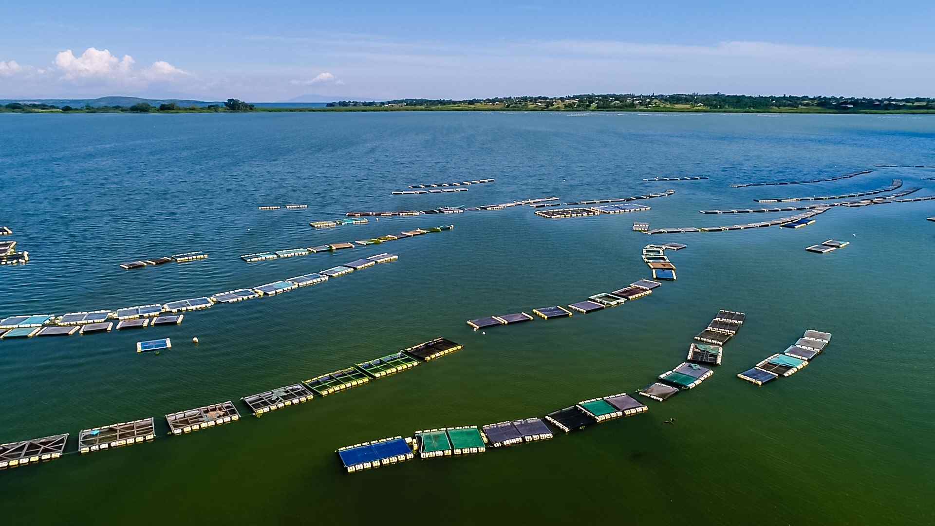 Lake Vicroria